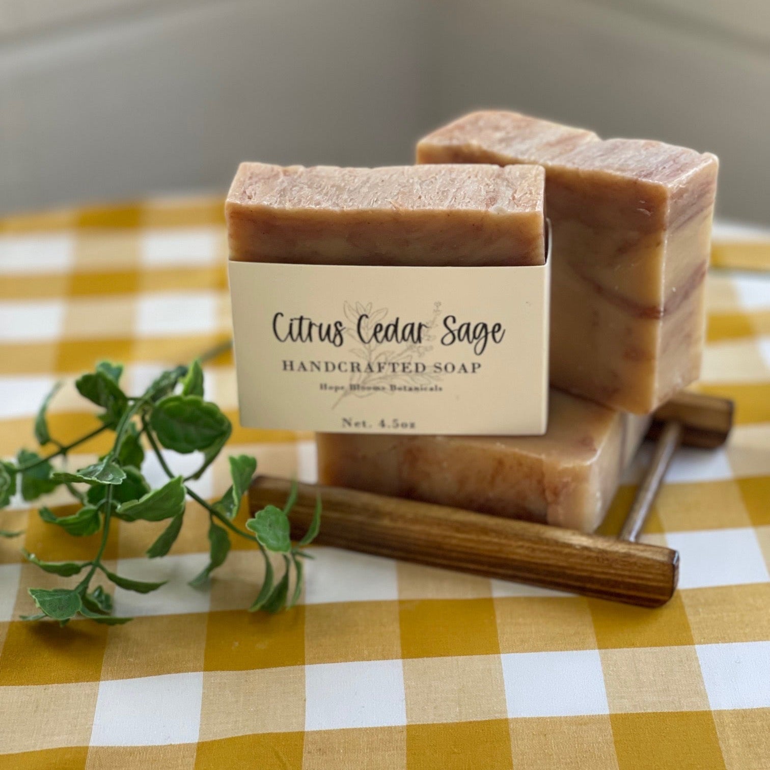 Citrus Cedar Sage Soap Bar