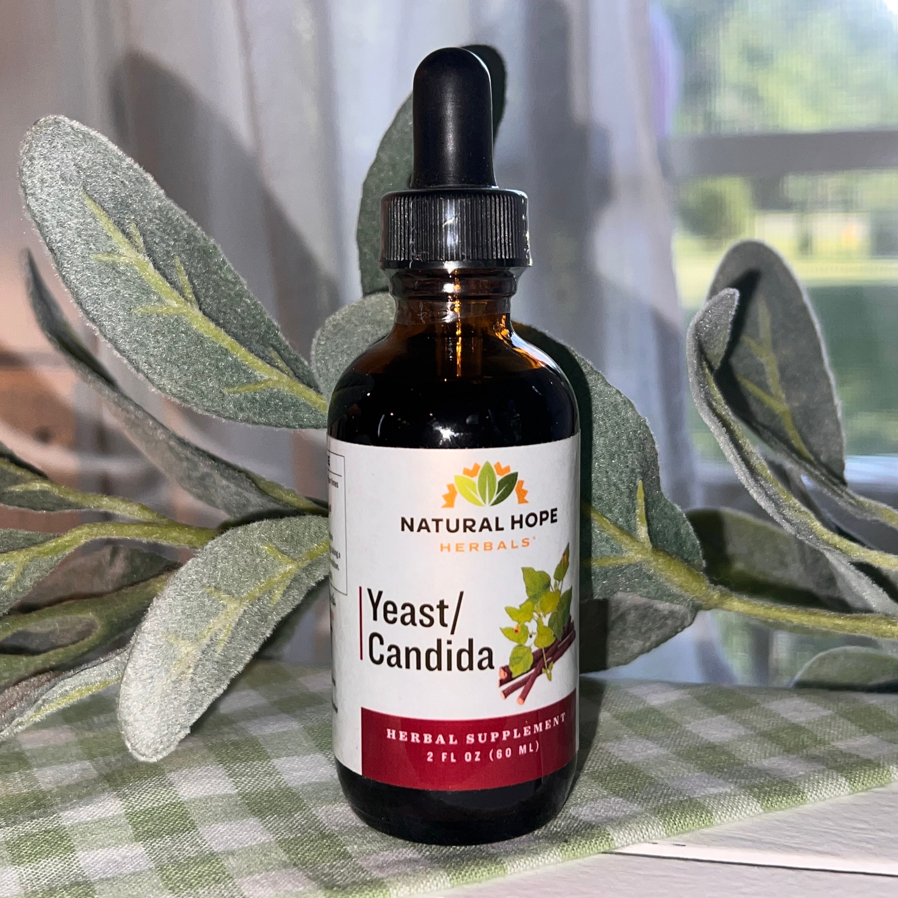 Yeast/Candida