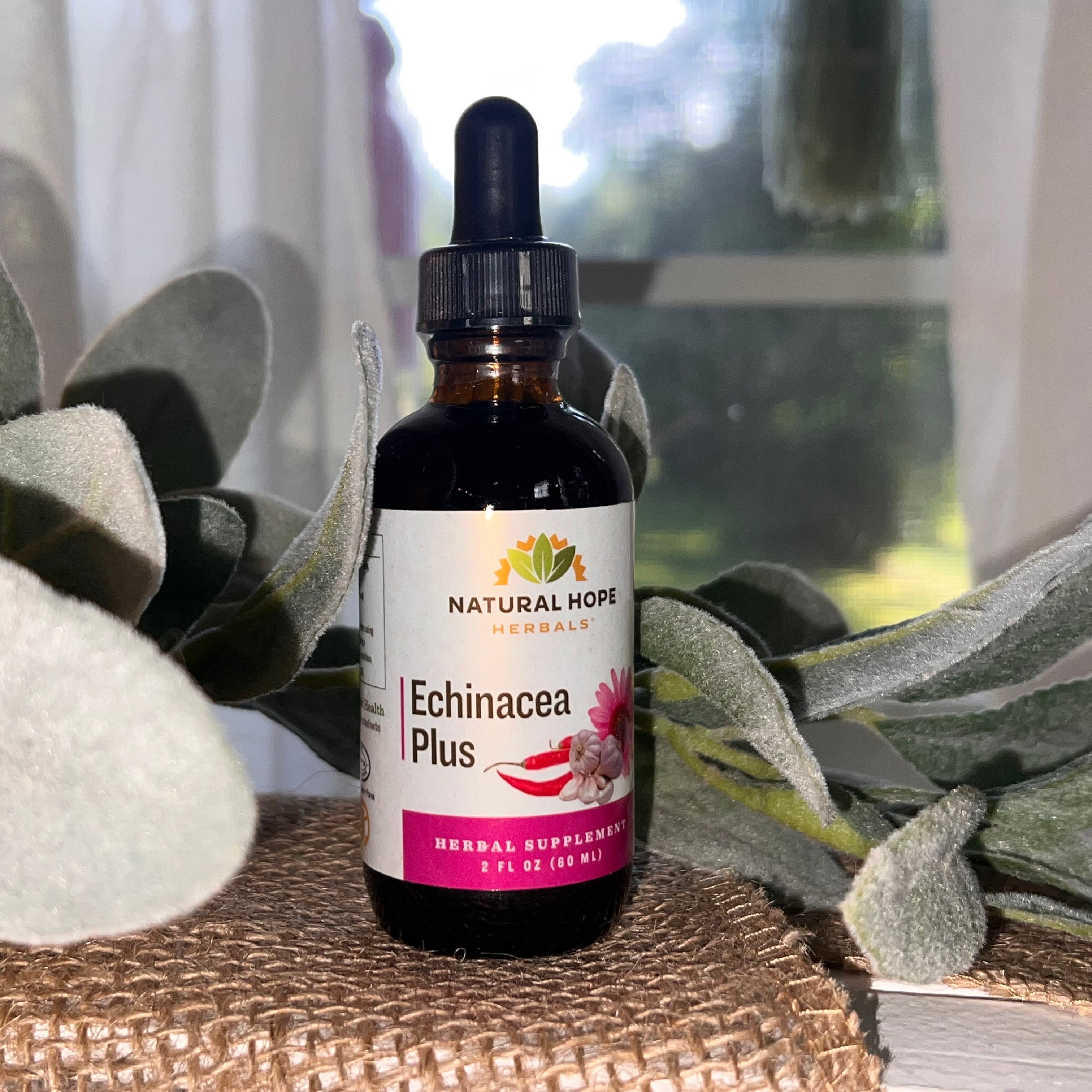 Echinacea Plus